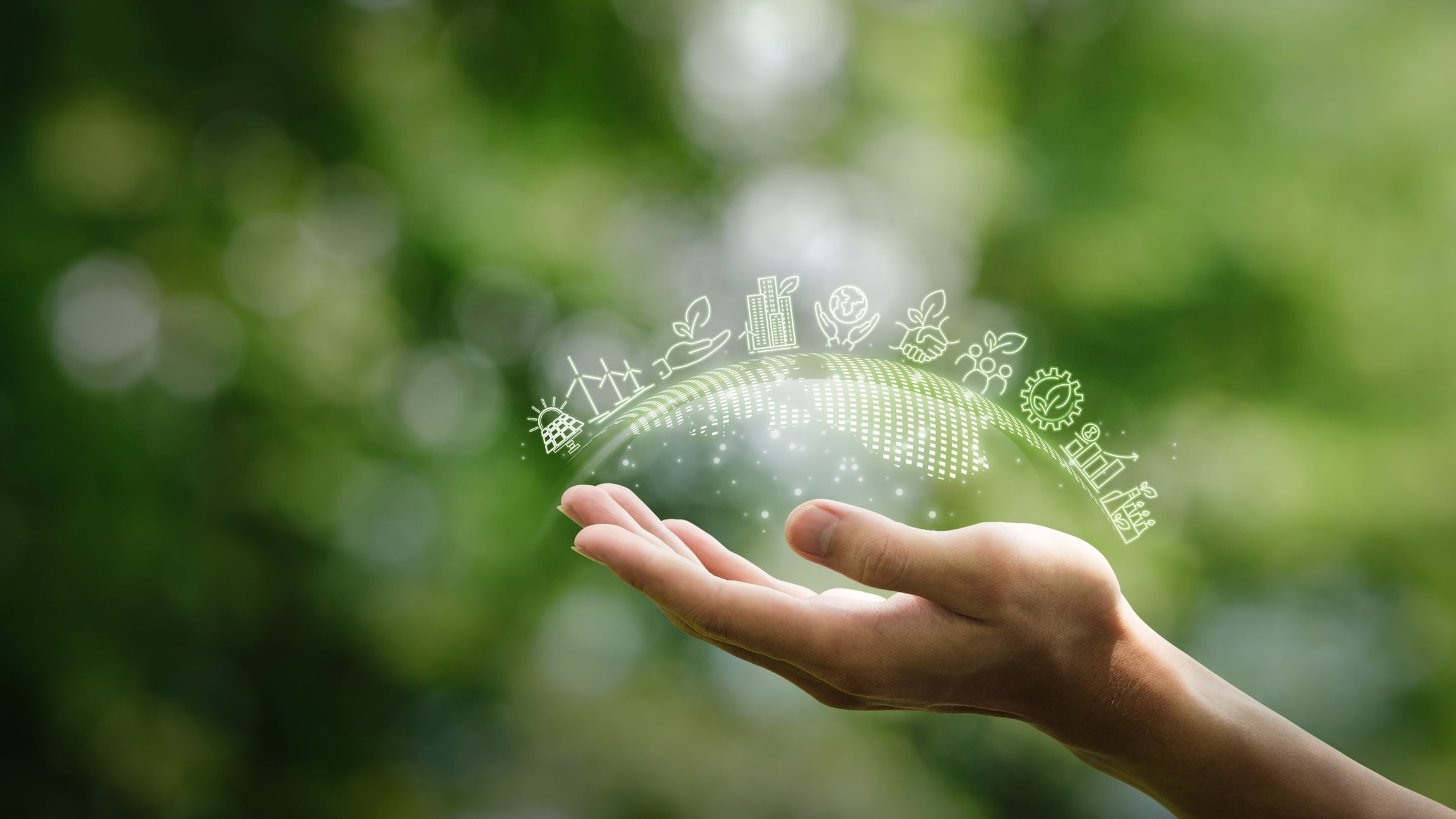 Main ouverte sous un arc de pictogrammes du développement durable, sur fond de feuillage